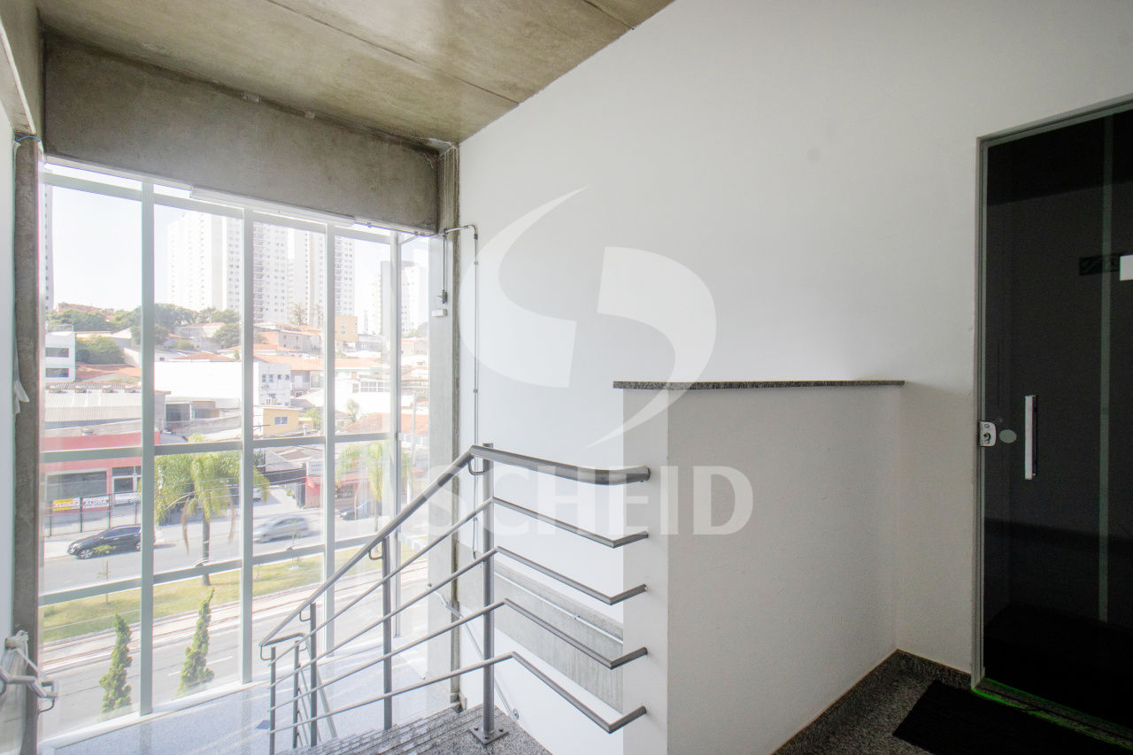 Foto 41