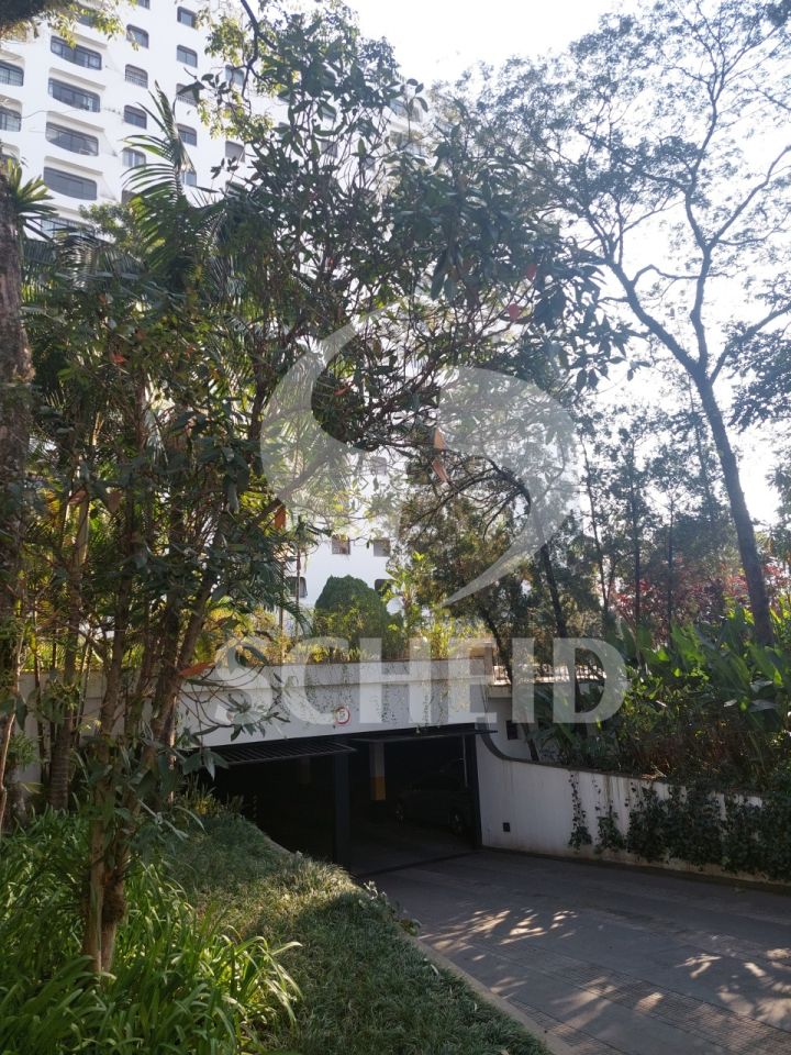 Foto 47