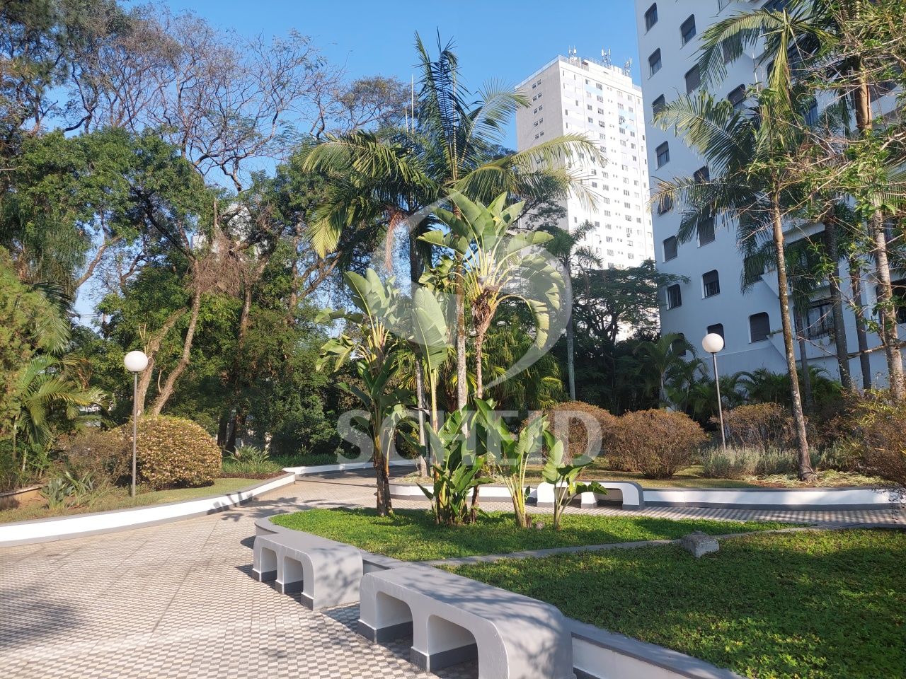 Foto 42