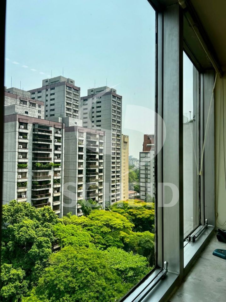 Foto 15