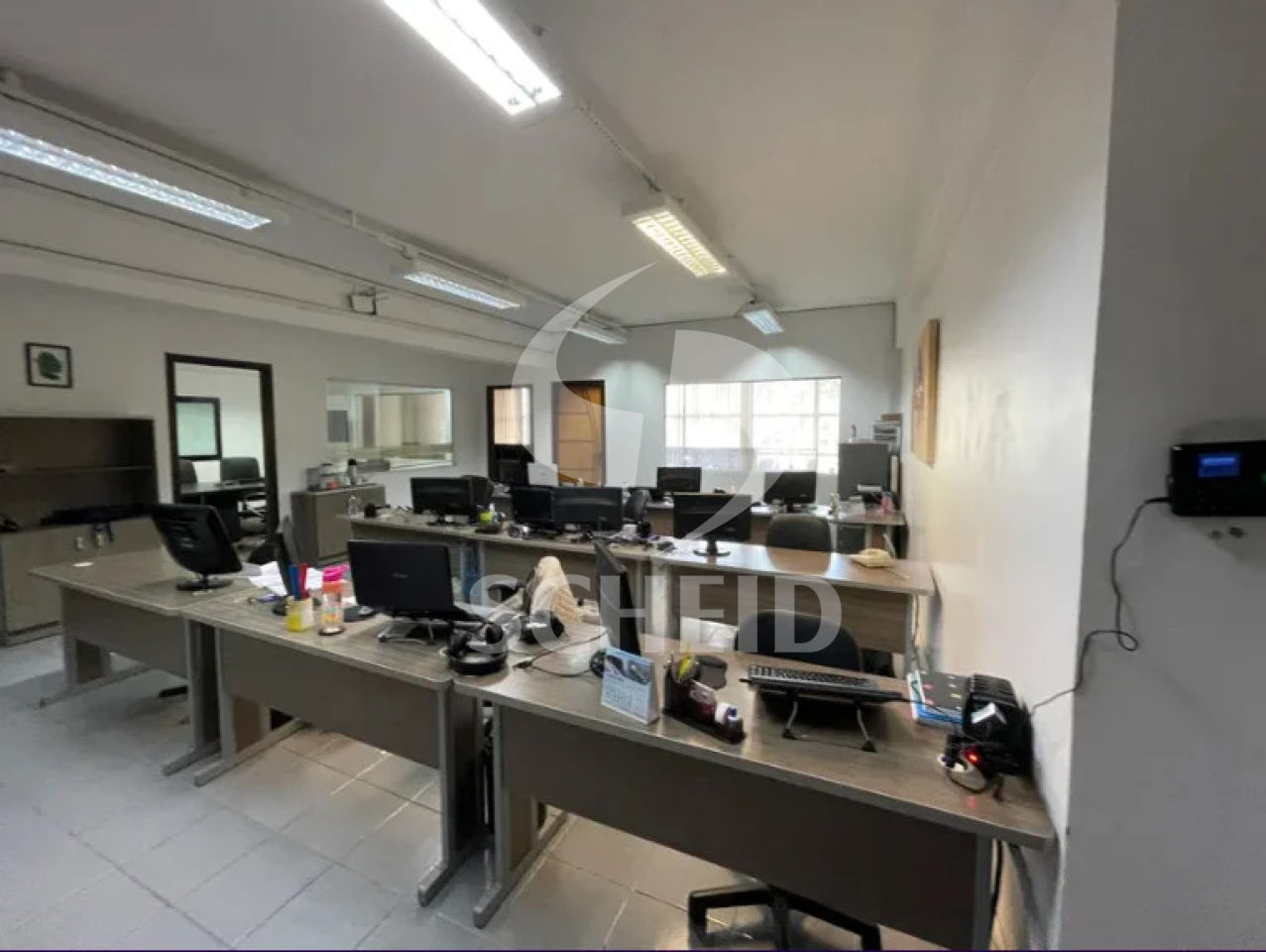 Foto 1
