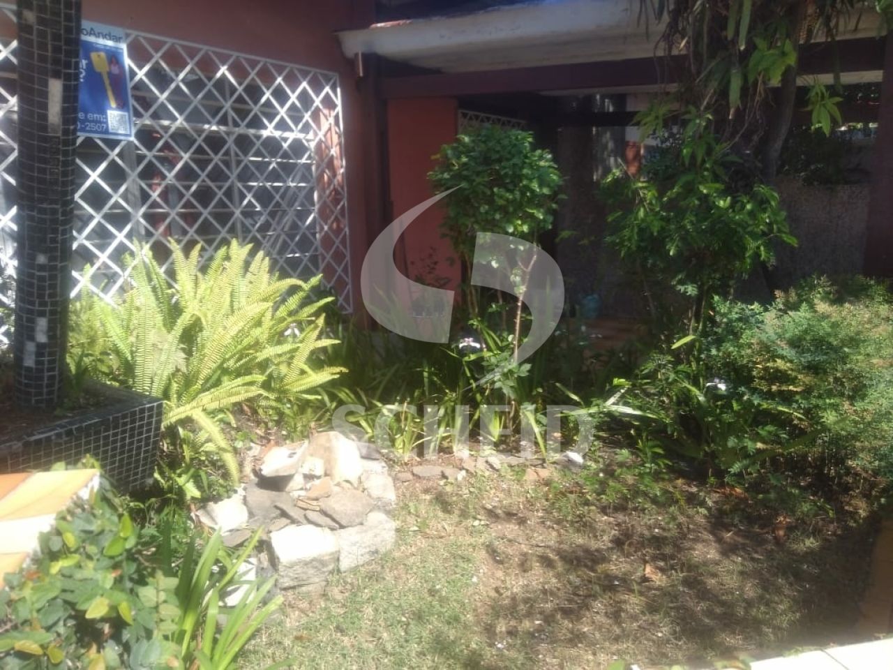 Foto 15