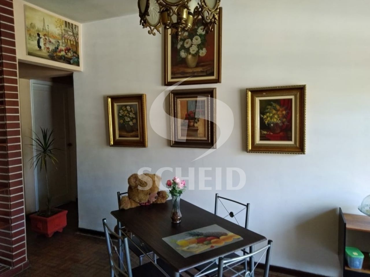Foto 41