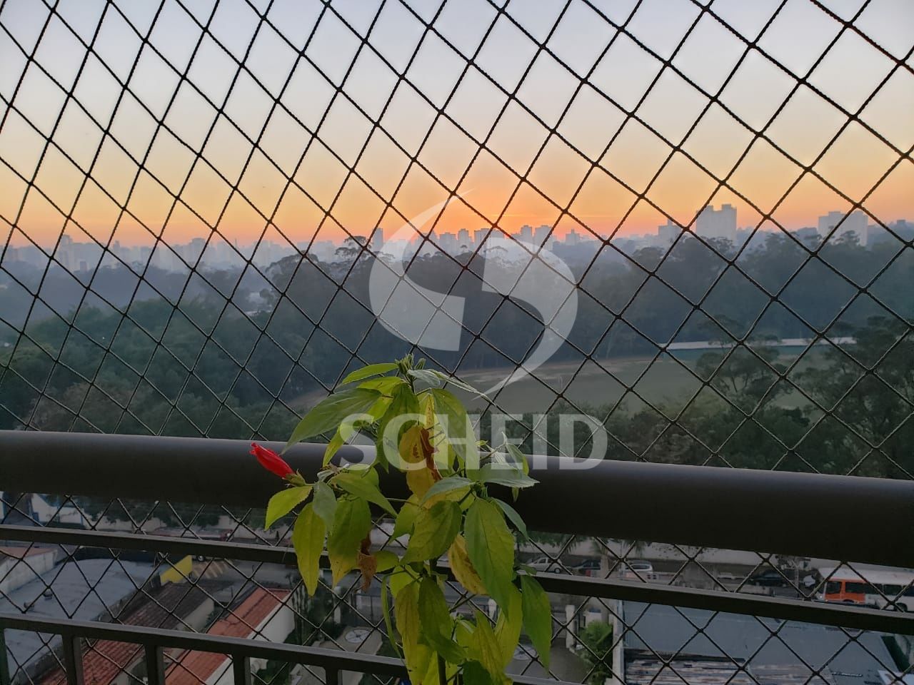 Foto 21