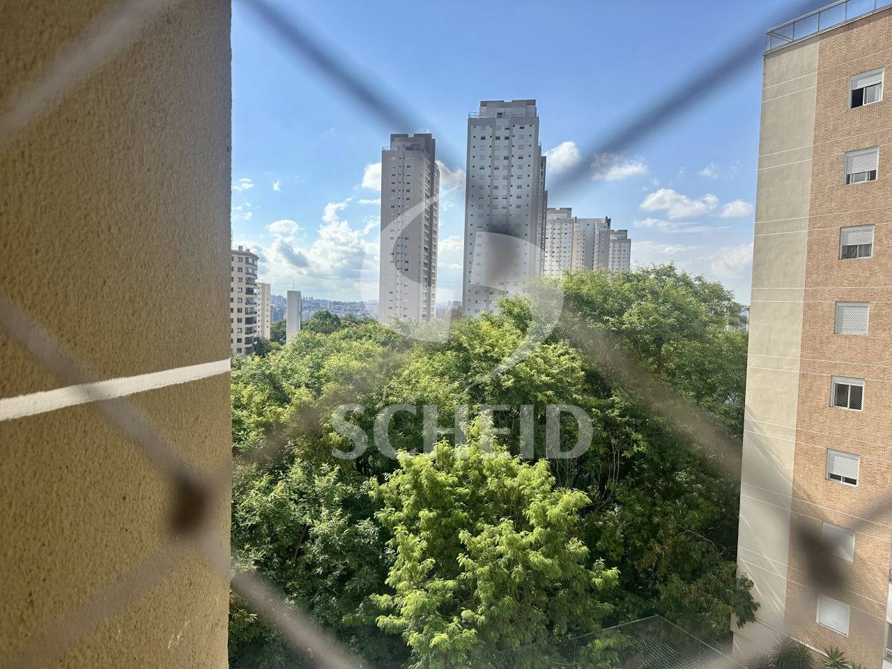 Foto 24