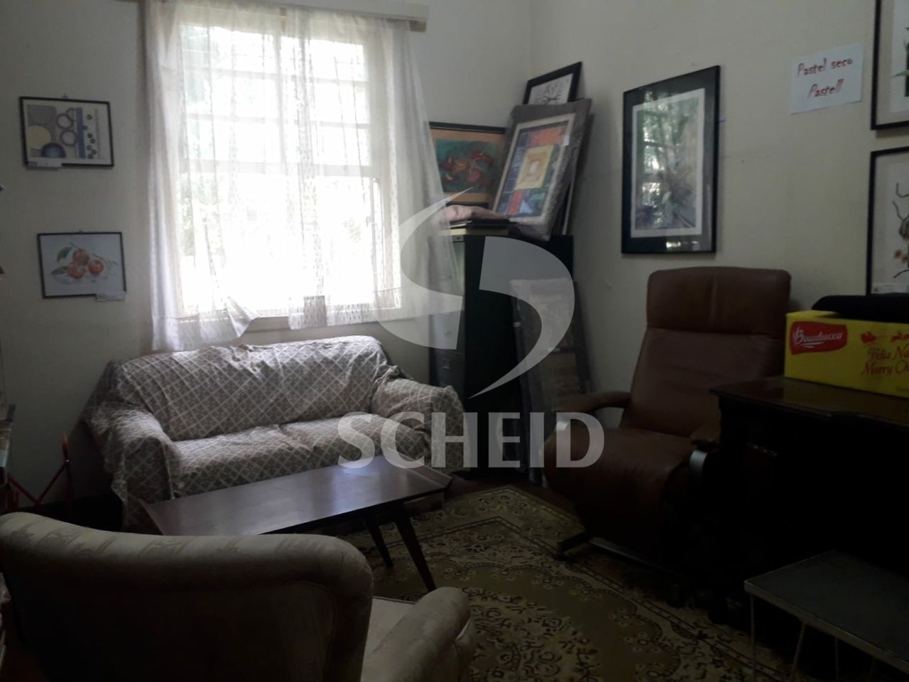 Foto 15