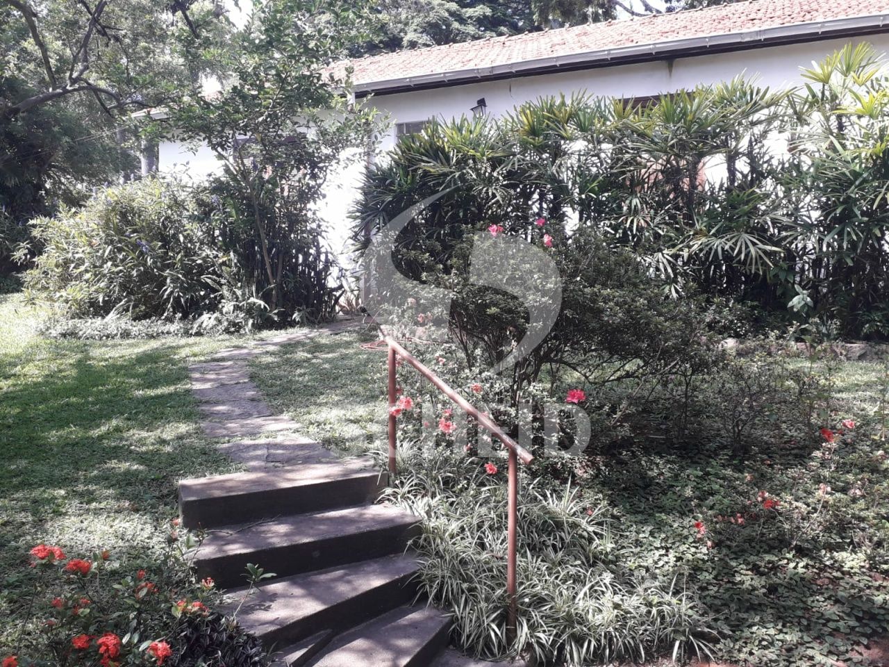 Foto 13