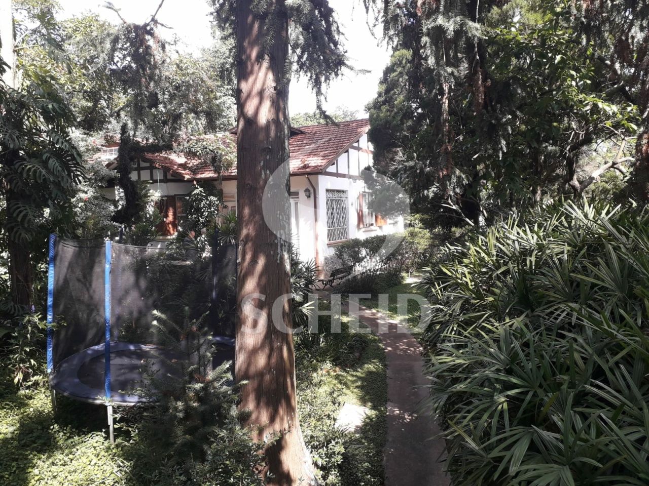 Foto 9