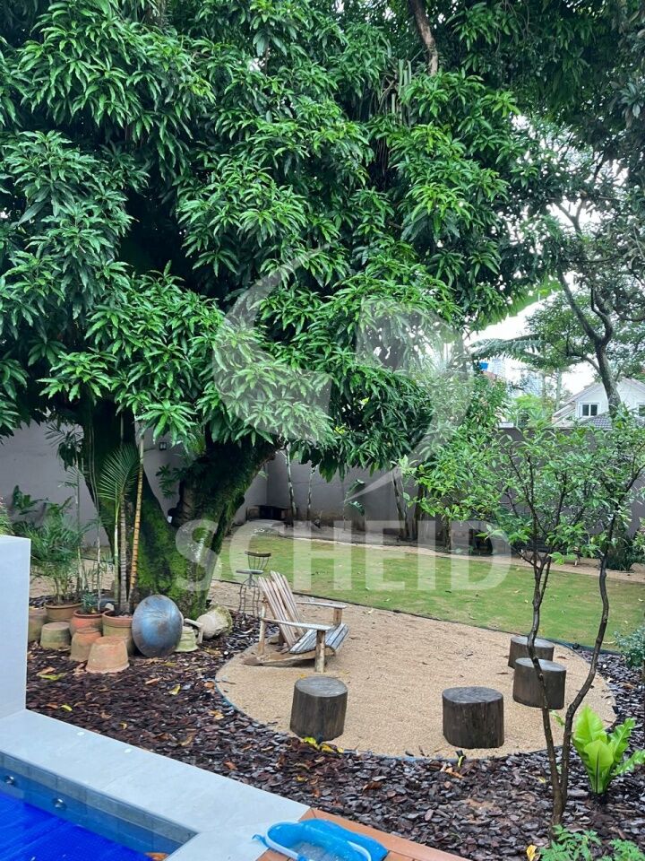 Foto 41