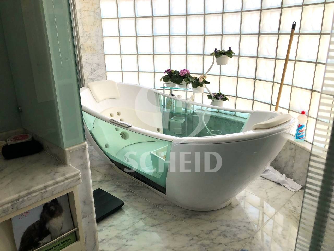 Foto 24