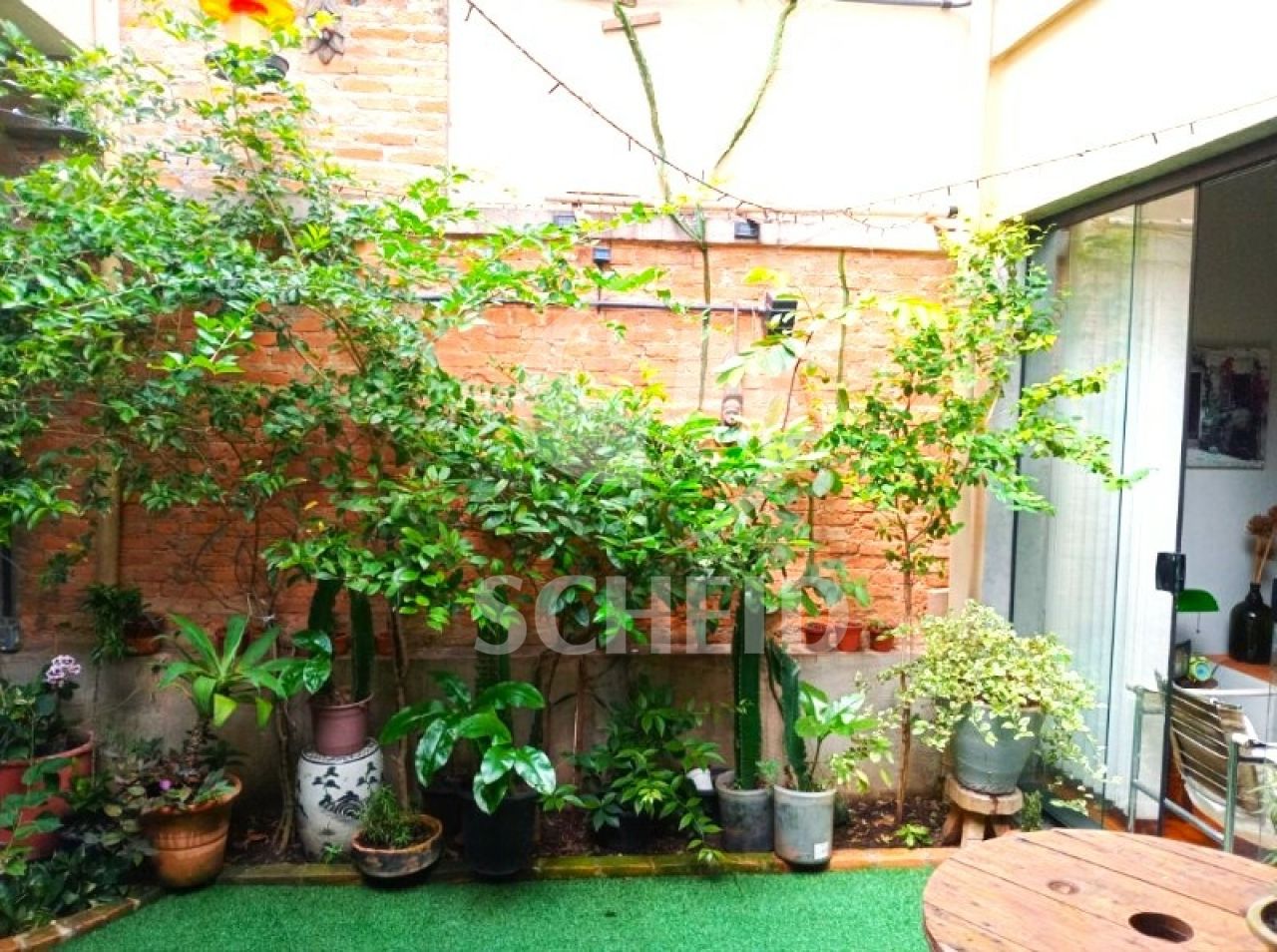 Foto 5