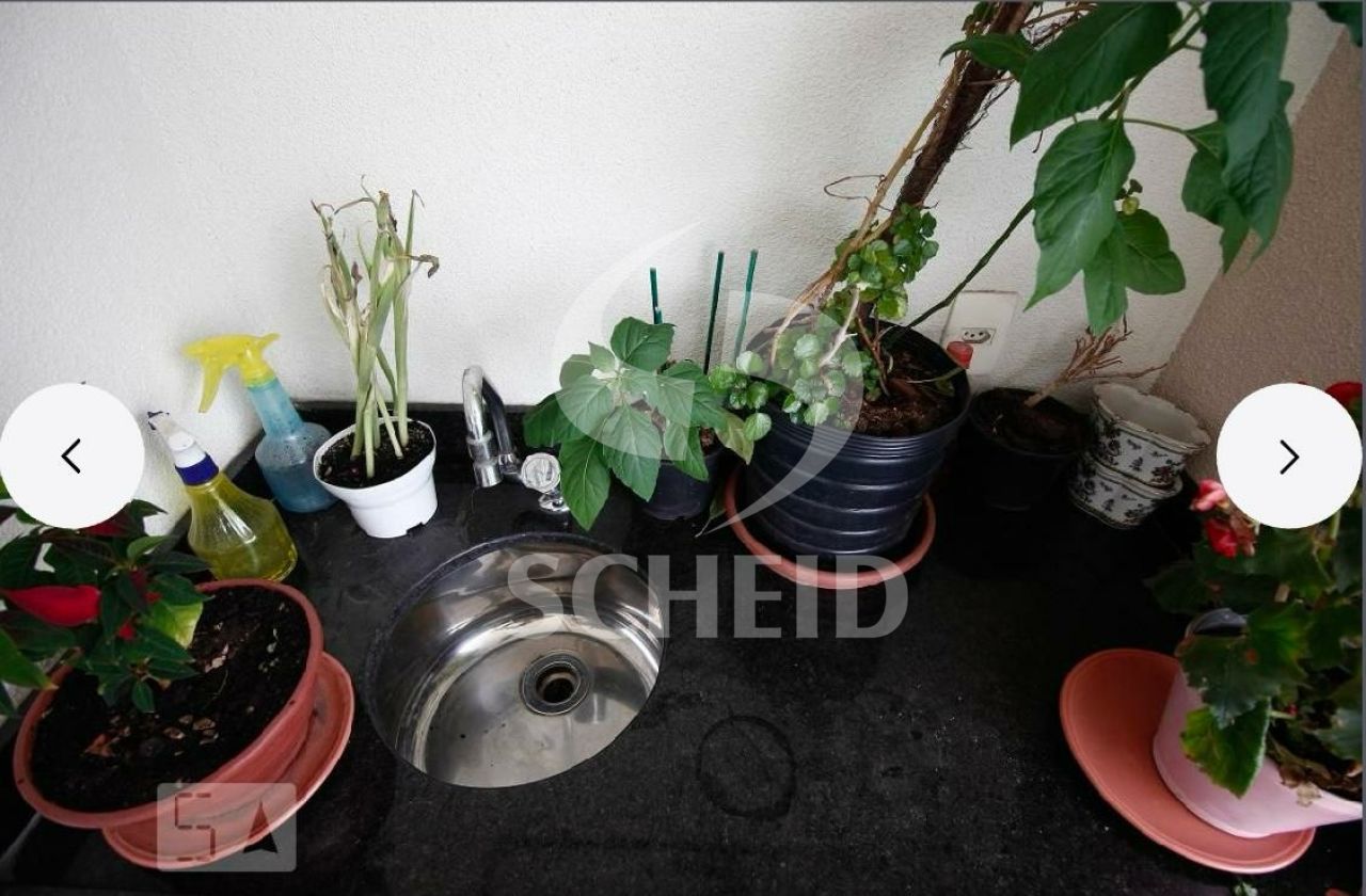 Foto 24