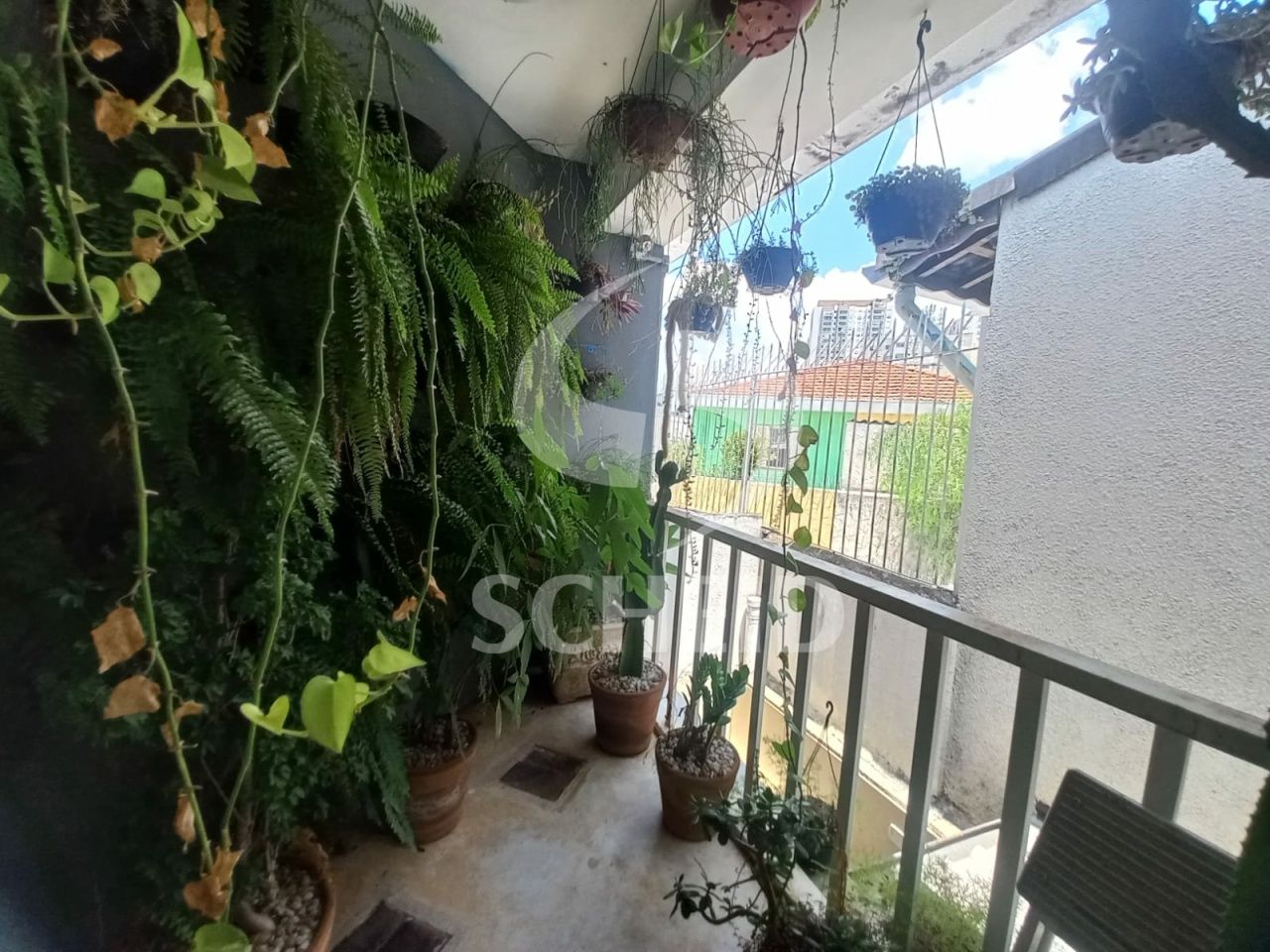 Foto 13