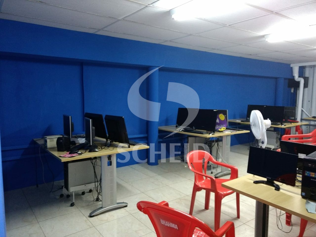 Foto 6