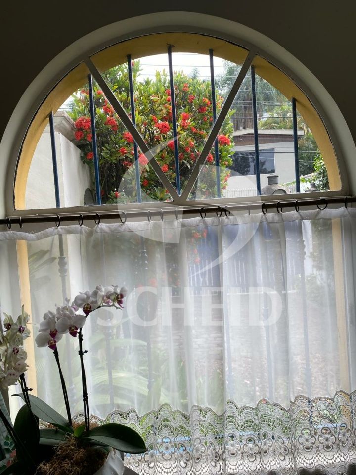 Foto 45