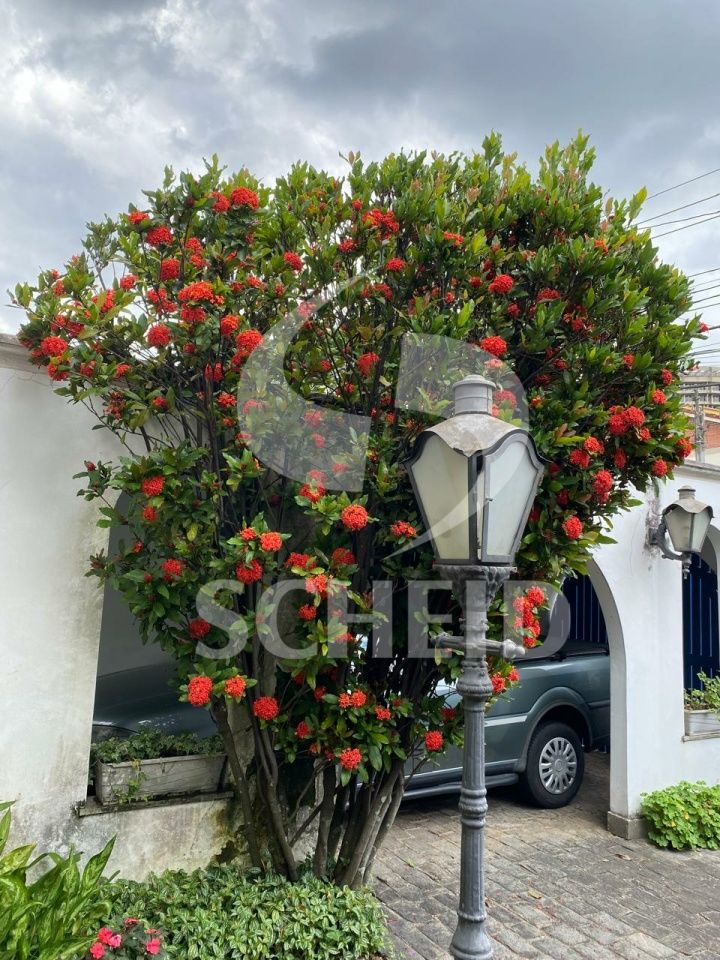 Foto 46