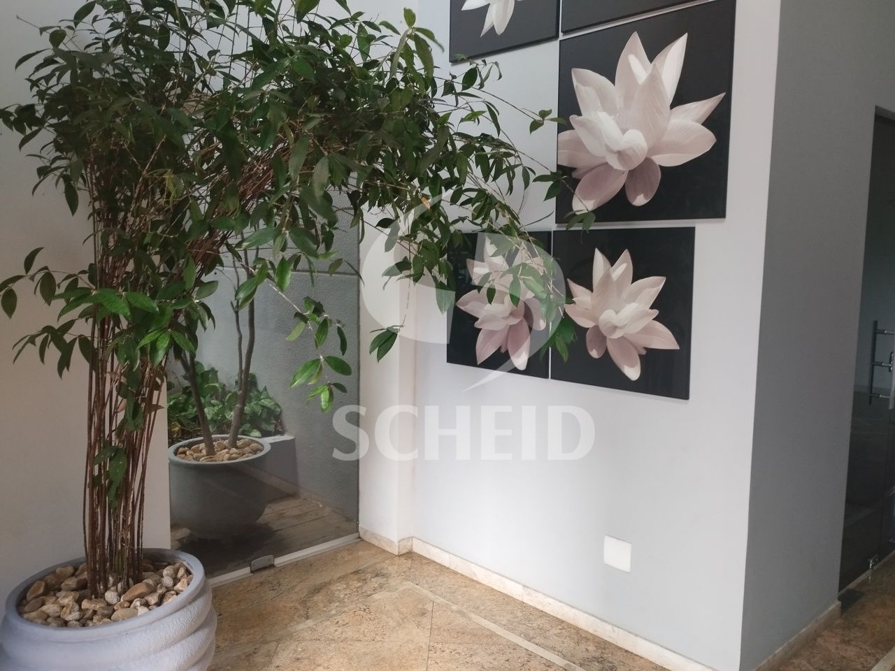 Foto 42