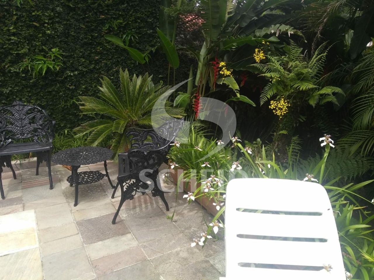 Foto 15