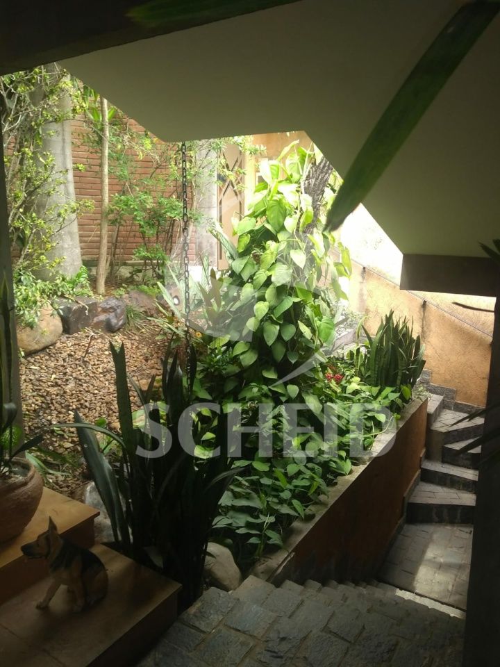 Foto 20