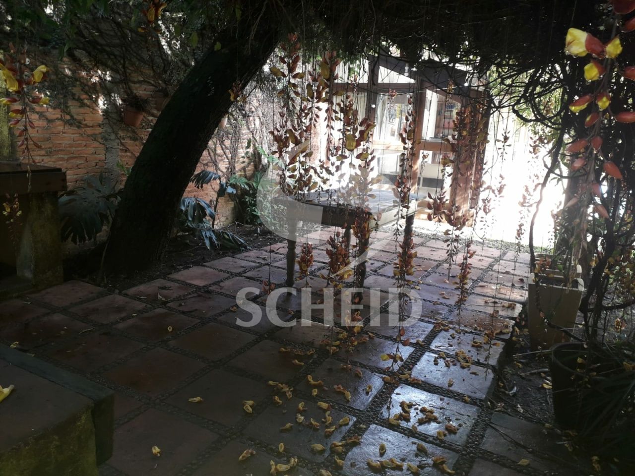 Foto 34