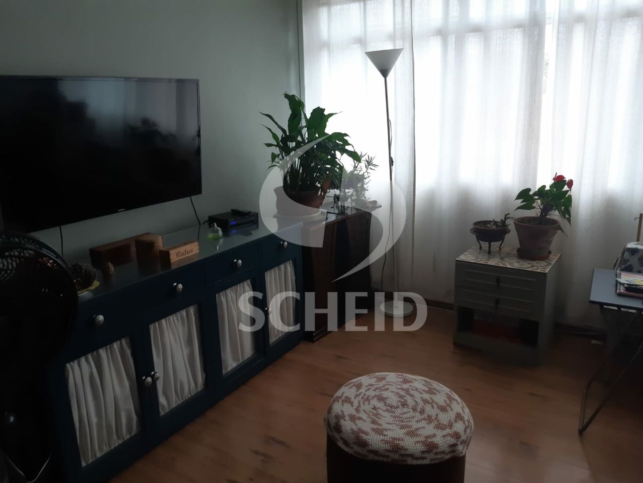 Foto 20