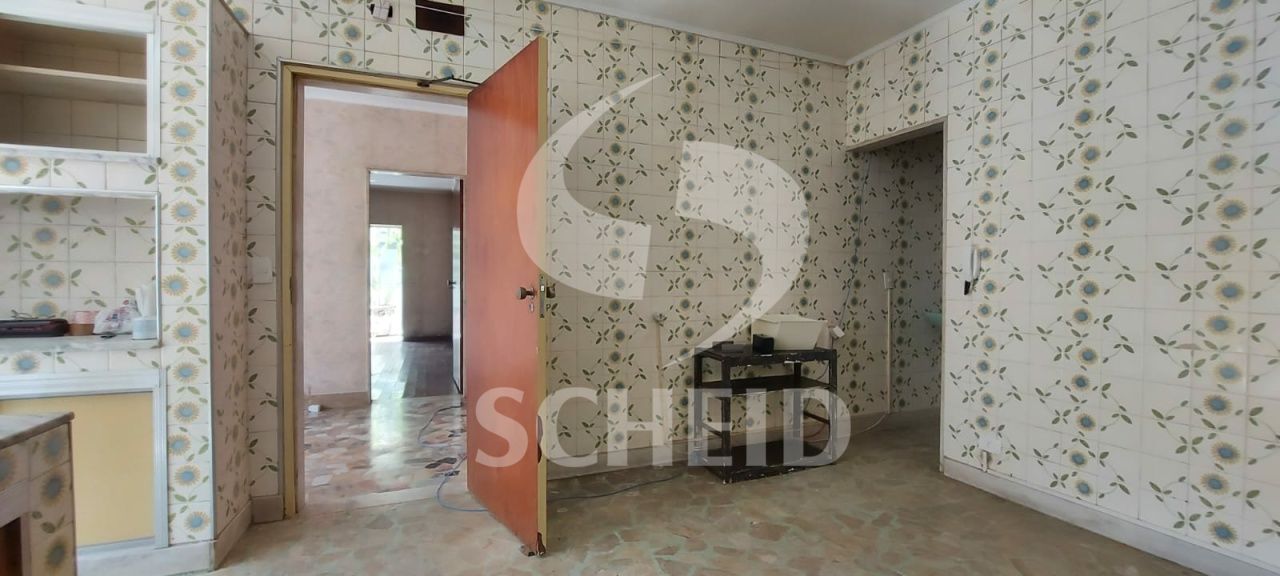 Foto 21