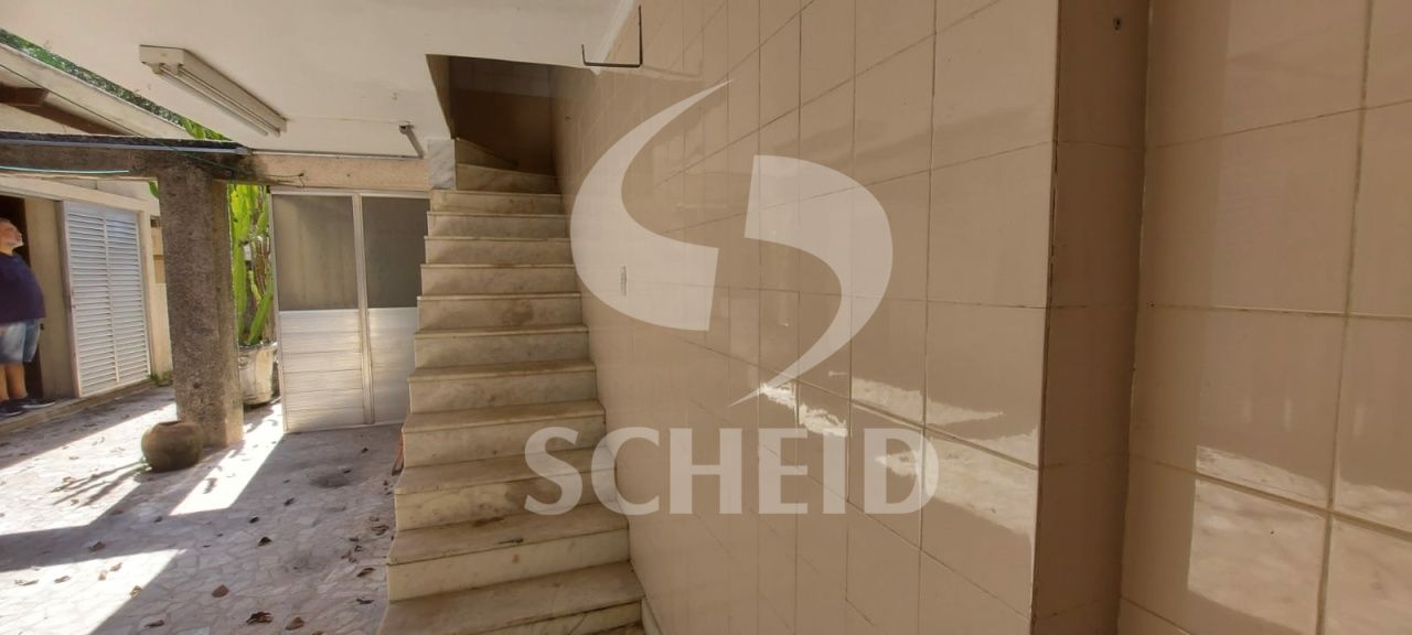 Foto 41