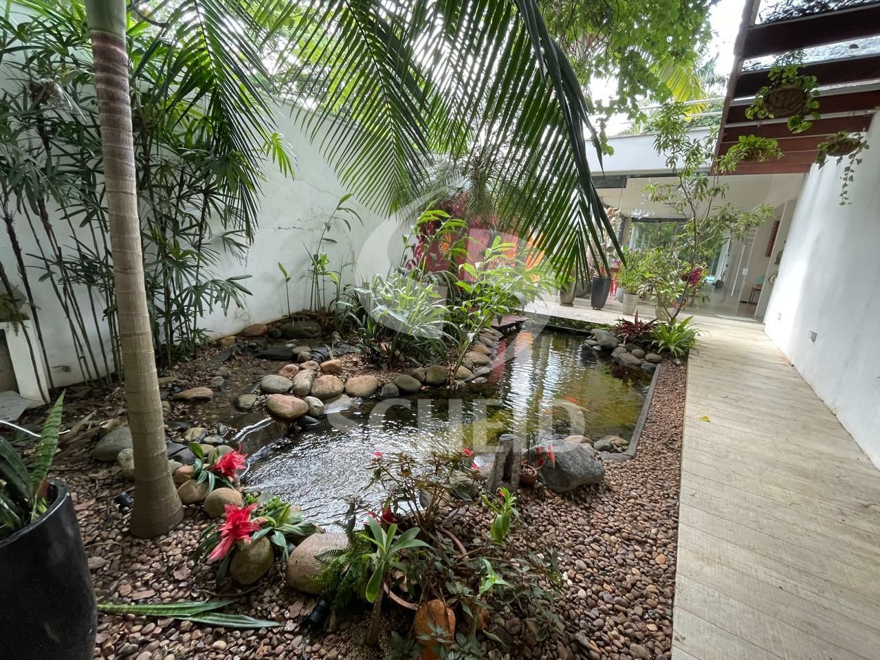 Foto 37