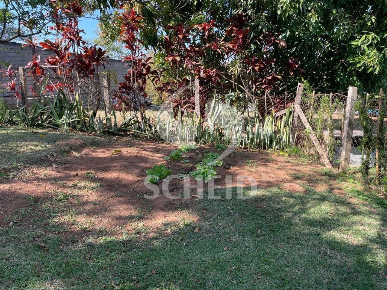 Foto 18