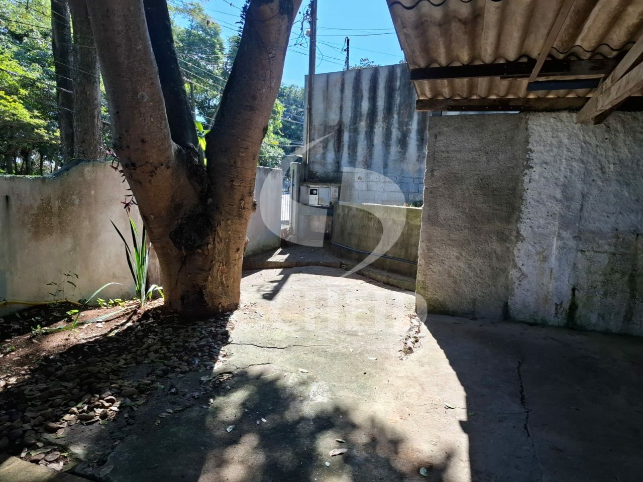 Foto 43
