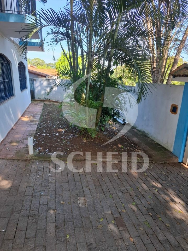 Foto 42