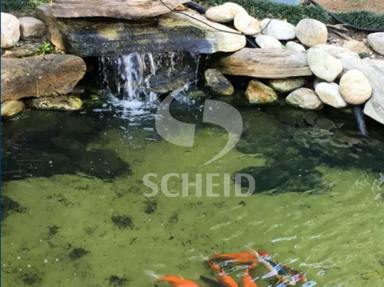 Foto 16
