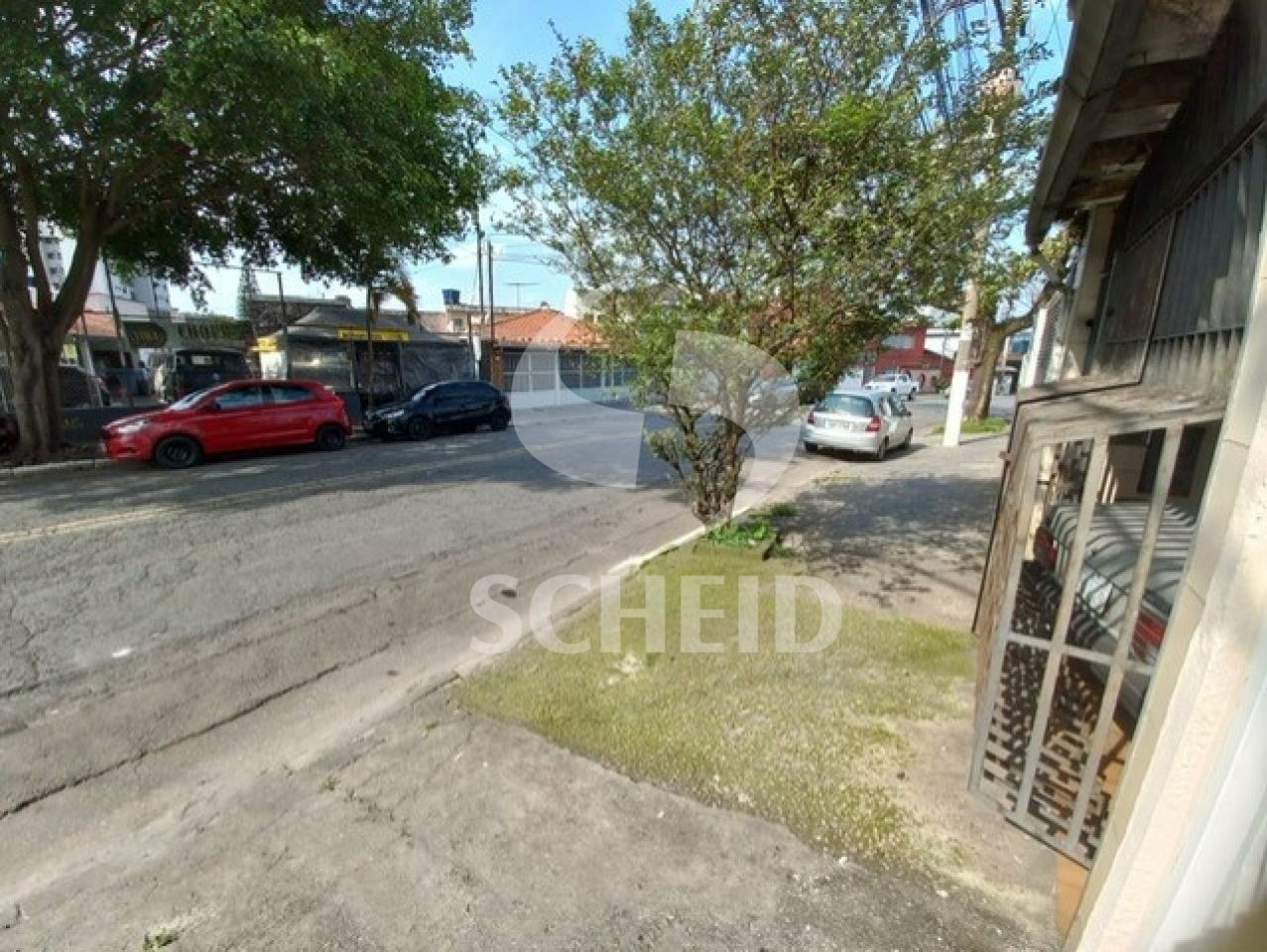 Foto 19