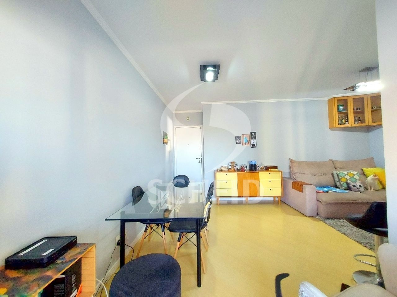 Foto 5