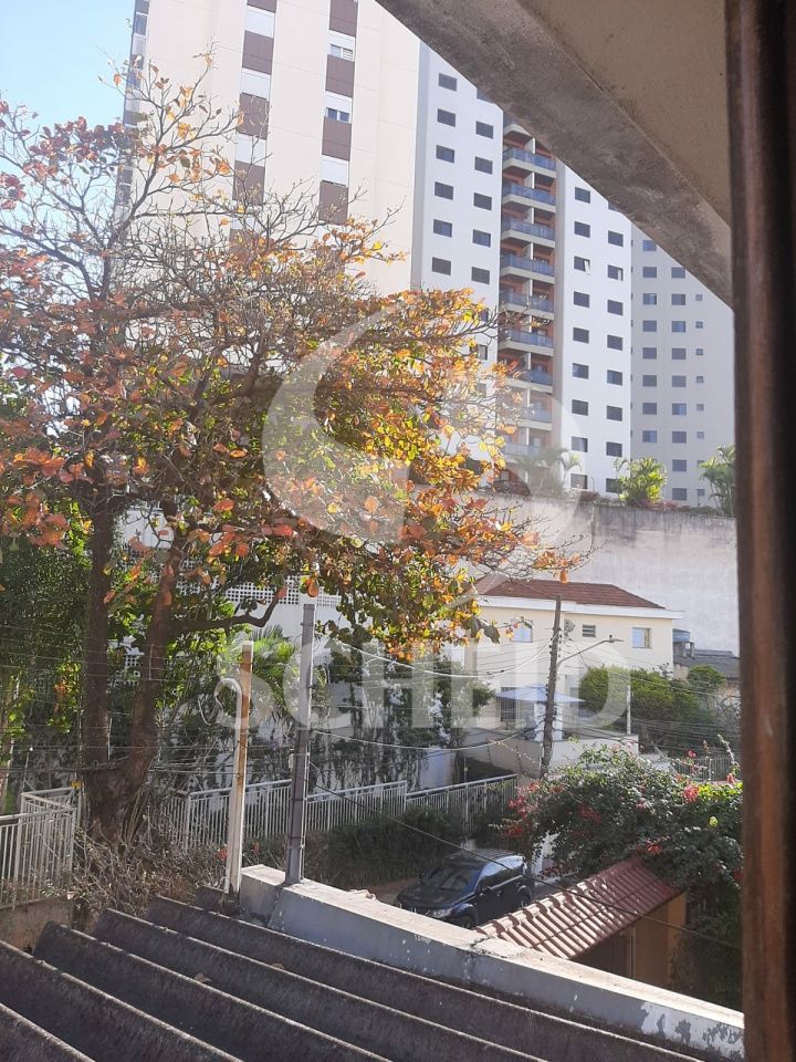 Foto 23