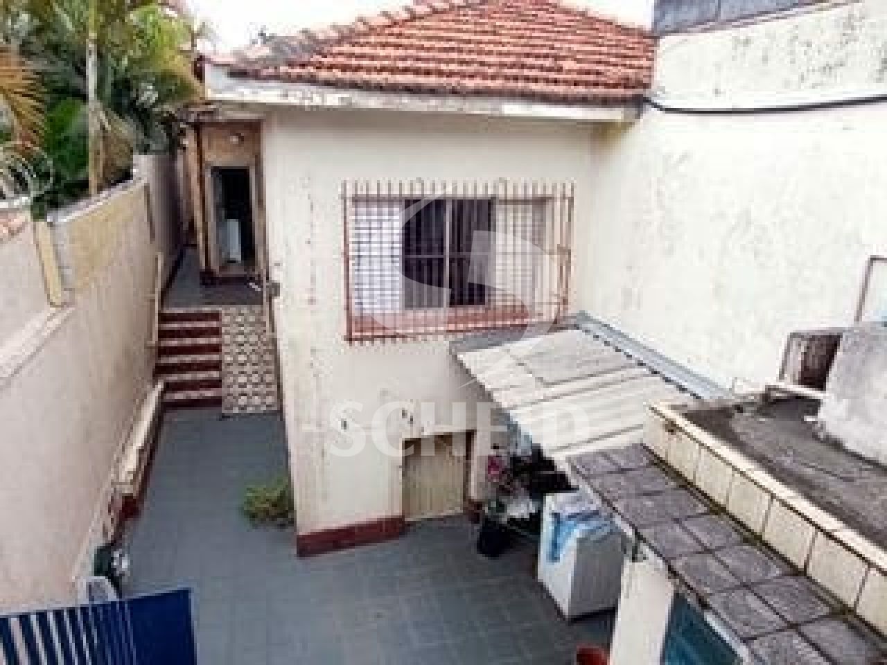 Foto 21