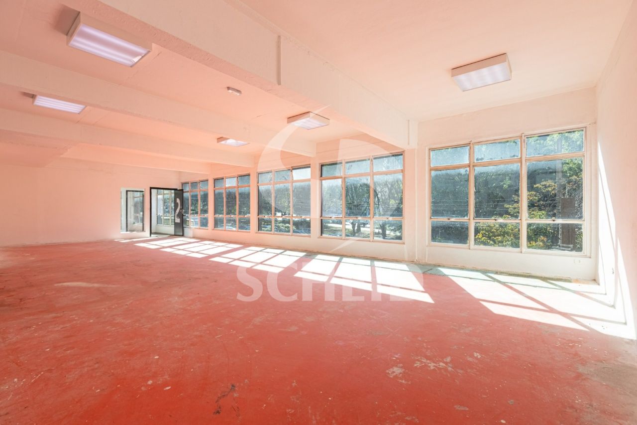 Foto 28