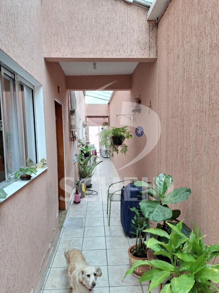 Foto 29