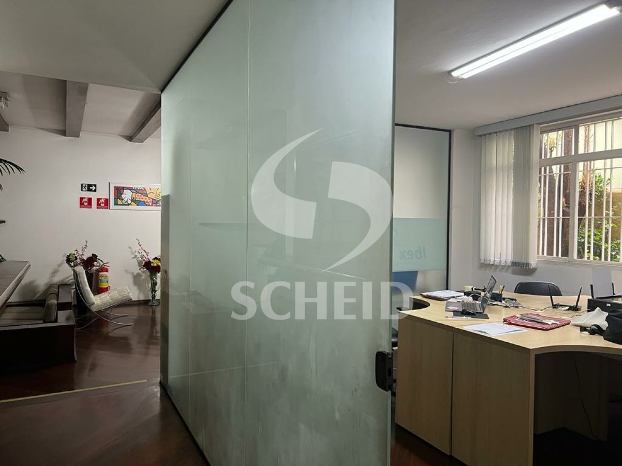Foto 7