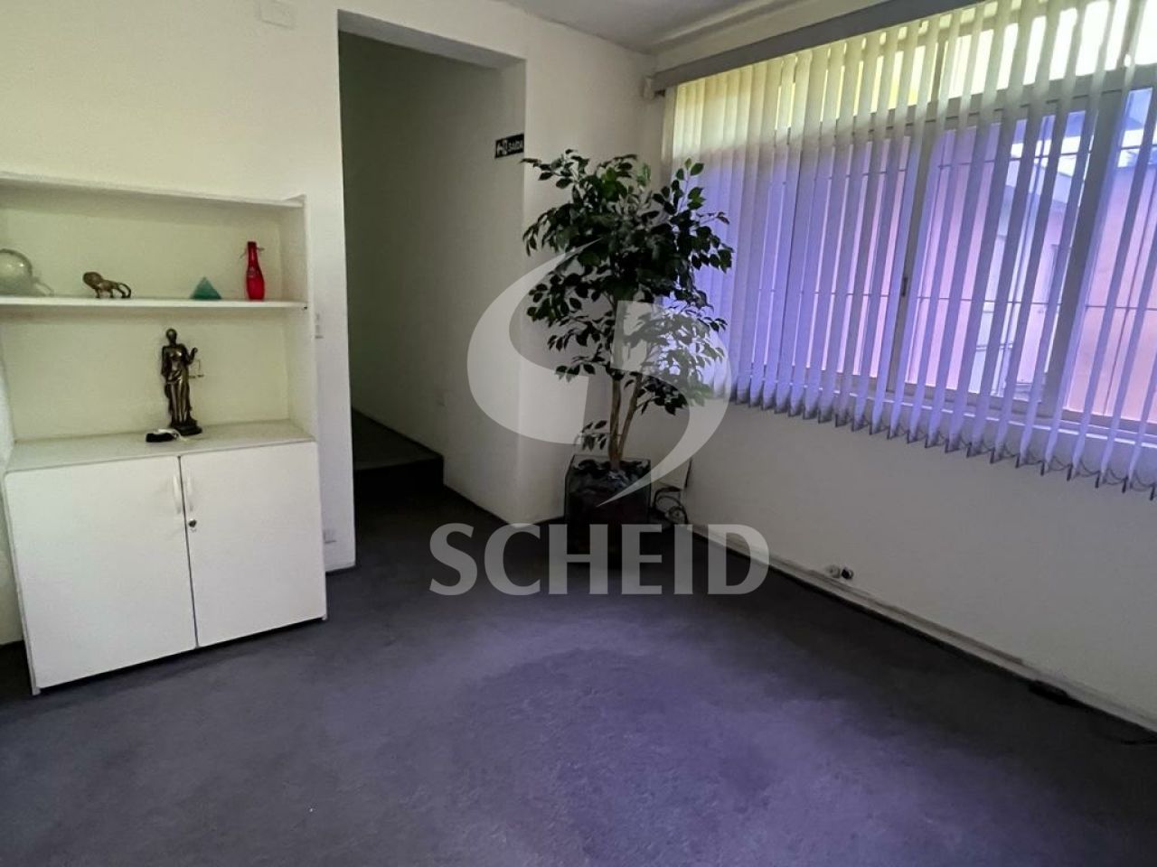 Foto 19