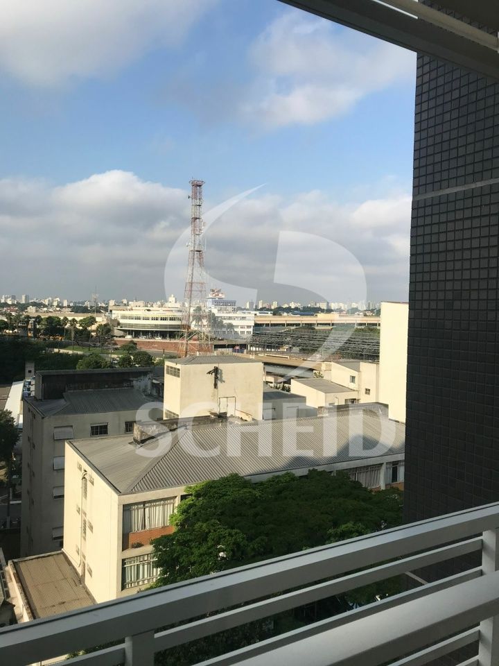 Foto 19