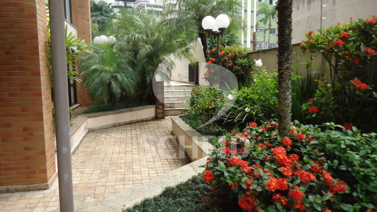 Foto 23