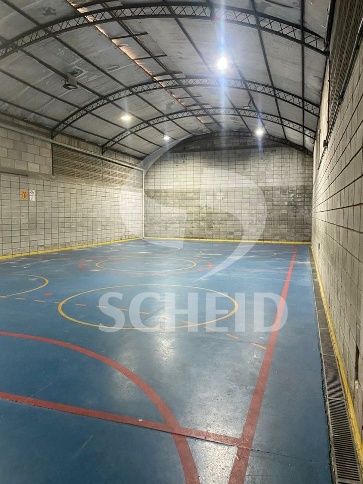 Foto 12