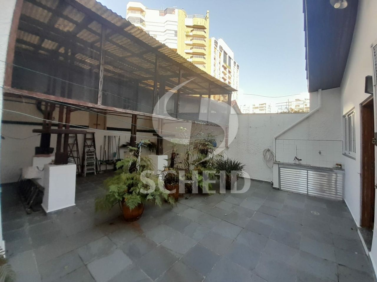 Foto 19