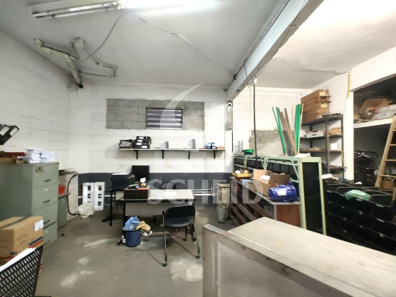 Foto 11