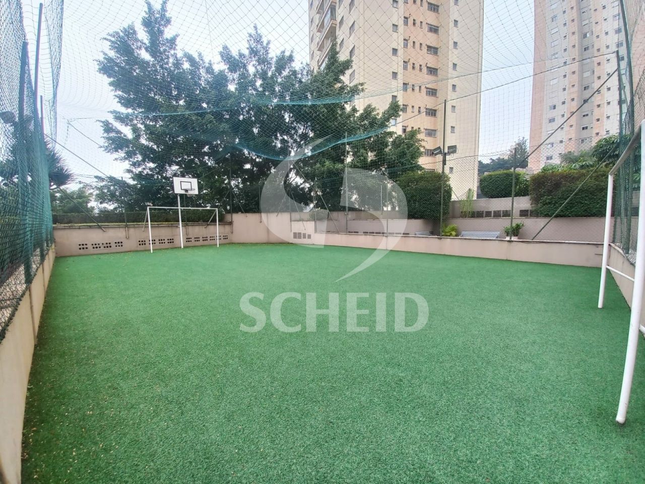 Foto 19