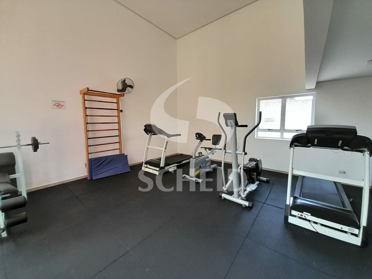 Foto 41