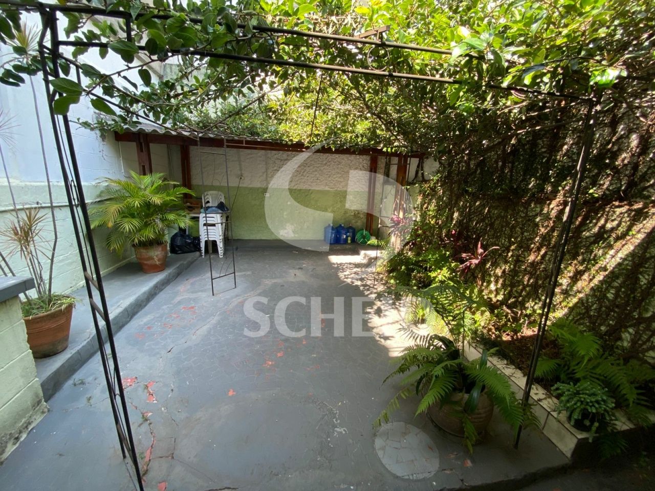 Foto 6