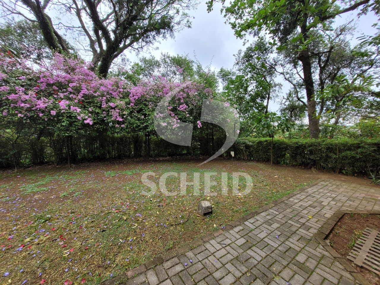 Foto 20