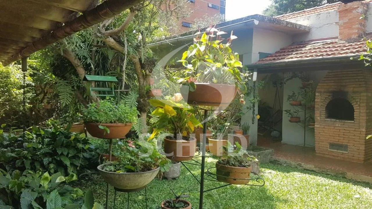 Foto 6